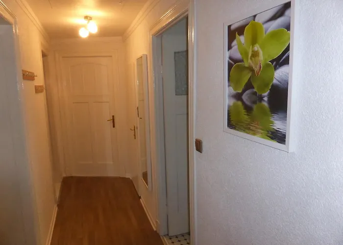 Dahlie & Nelke Berlin